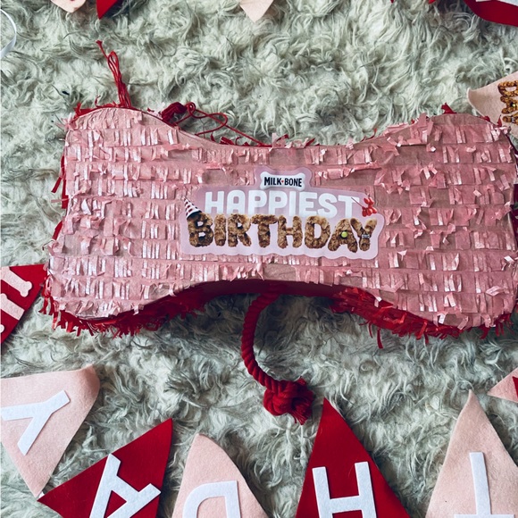 Milkbone Pink, Red & White Pet Party Piñata & Birthday Banner Set Decorations - Picture 2 of 4